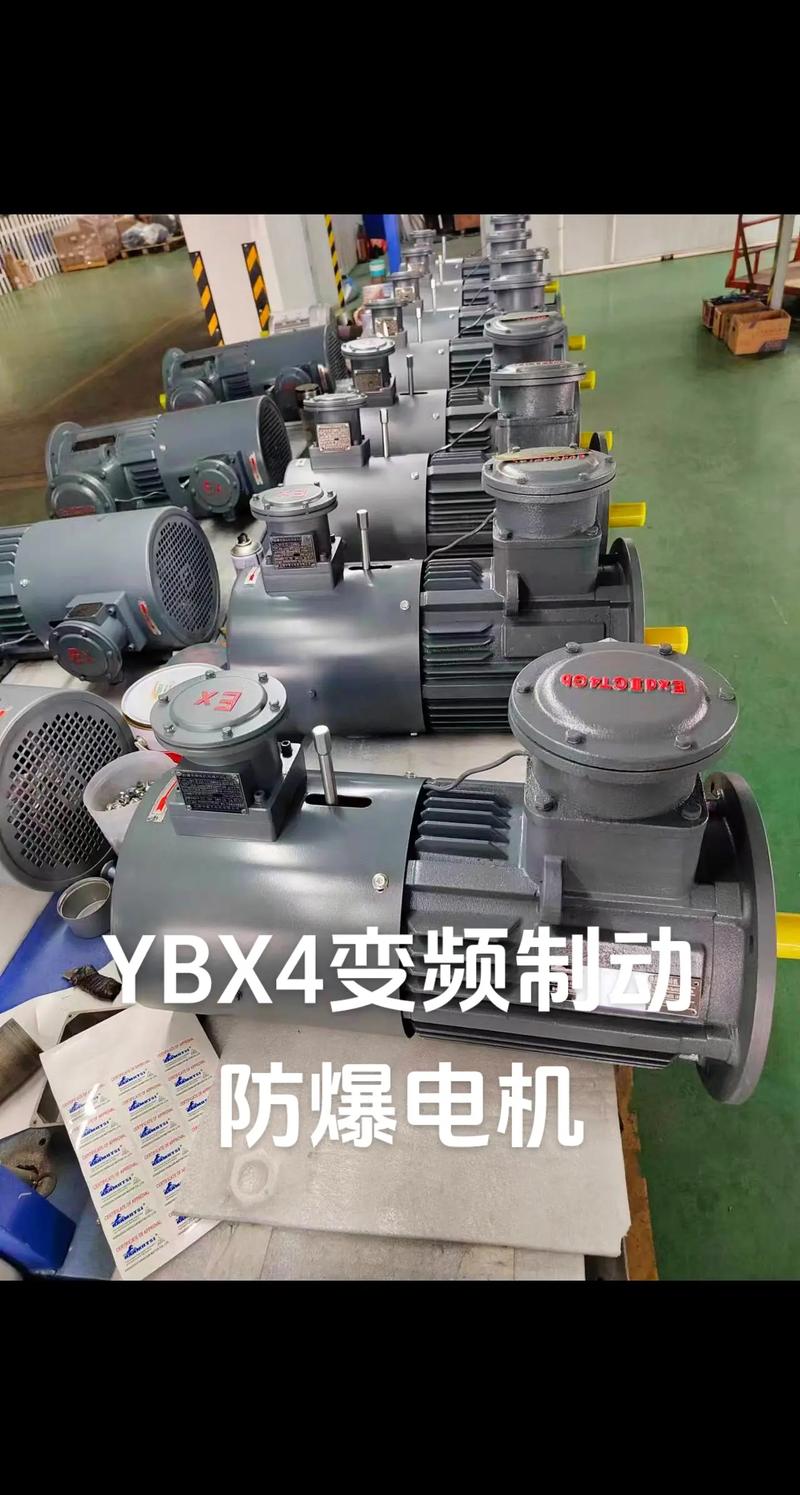 防爆制動電機圖片，防爆電機生產(chǎn)廠家官網(wǎng)